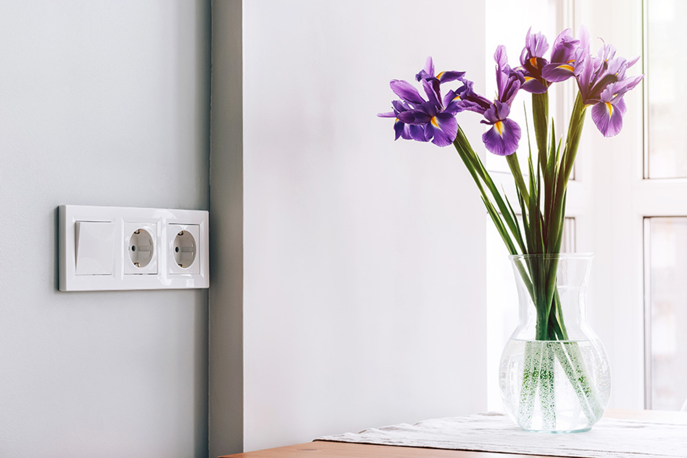 Design bei Relais Elektrohandwerk GmbH in Elstra OT Rauschwitz